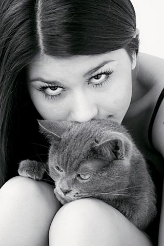 kiss фото, кот