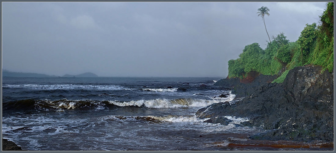 Аравийское море море берег пальма