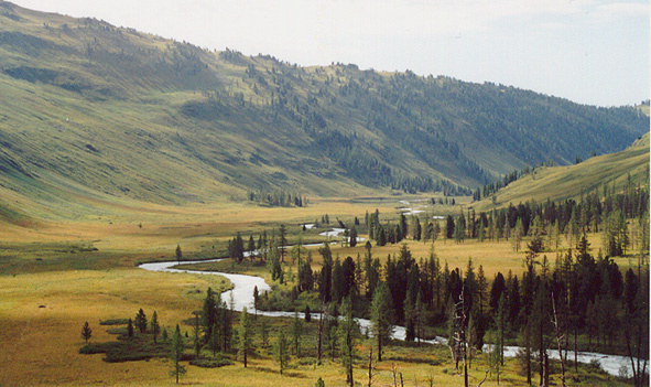 Река Катунь 
