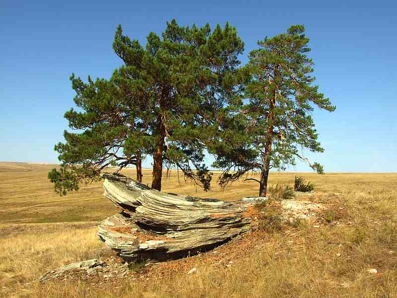 ковчег корабль степь