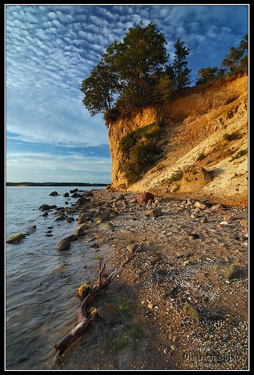 Paradise рюген море германия коряга берег