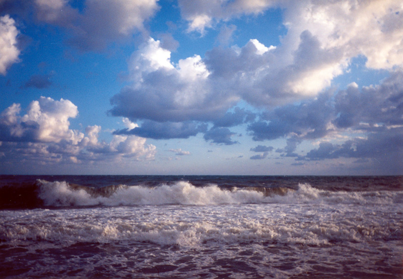 Черное море черное море