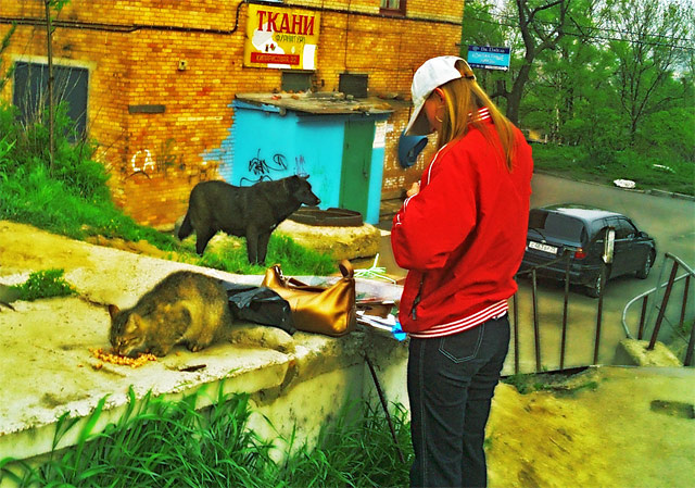Покормить кот кошка собака девушка