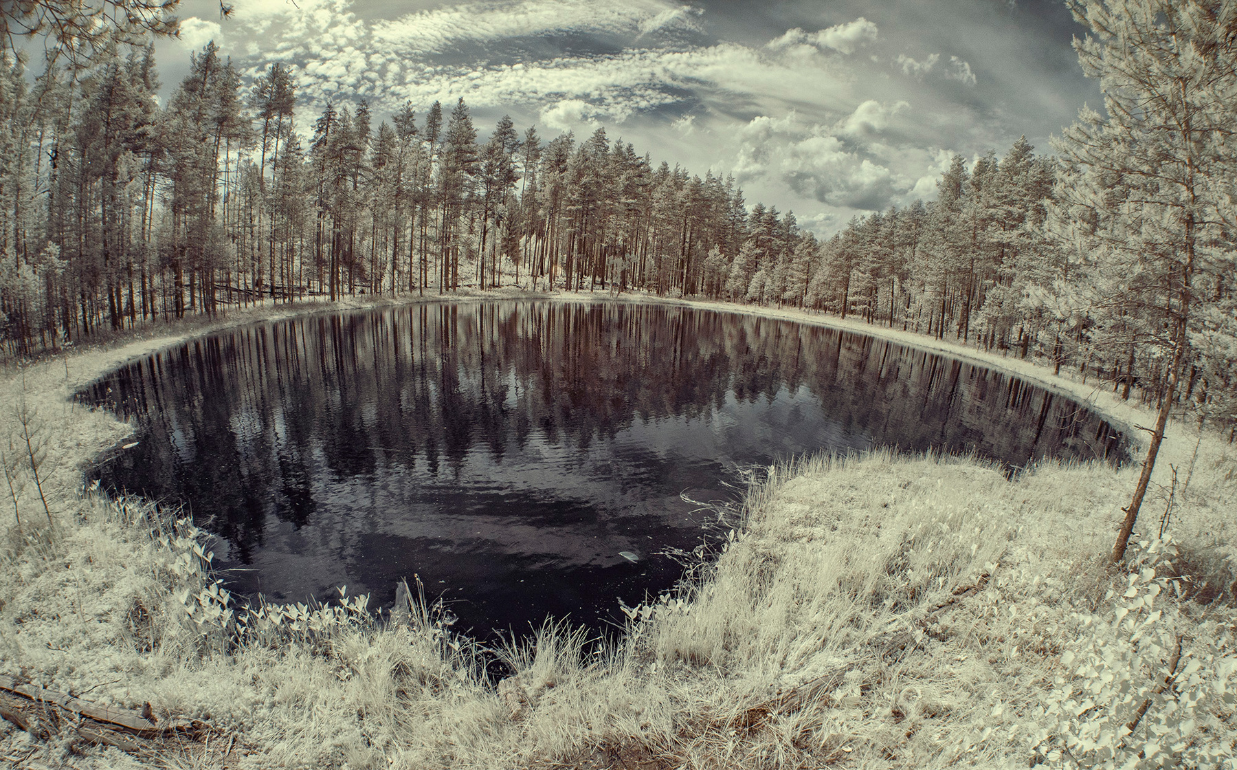Лампушка 