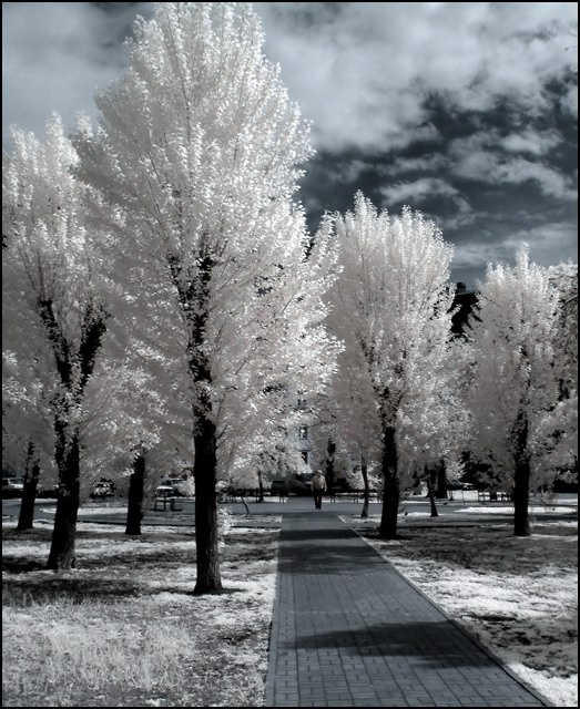 ir5 infrared Питер