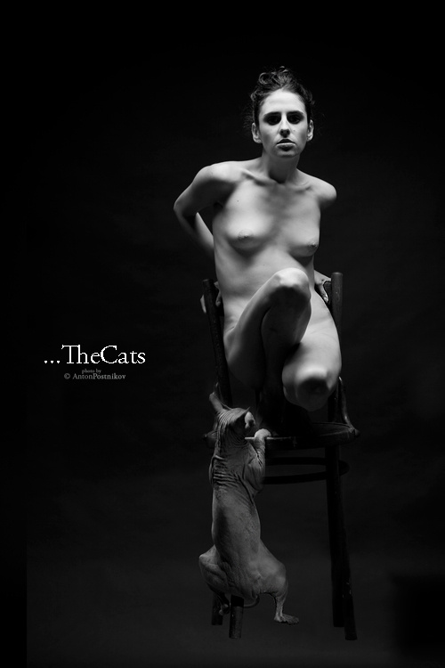 ...TheCats www.photographsite.ru