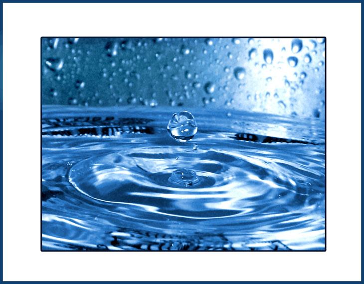 жизнь воды вода