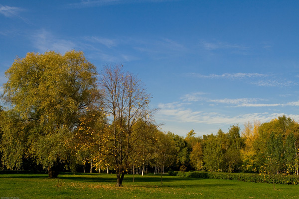 Осень в парке 
