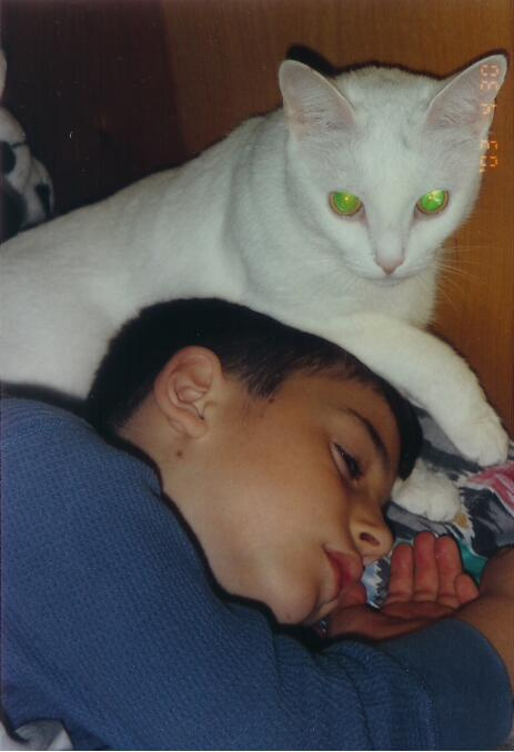 Sleeping time Cat child