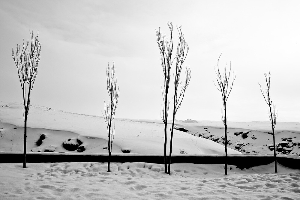 Cold winter Winter