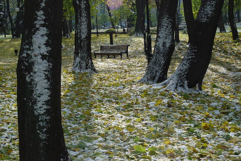 скамейка 