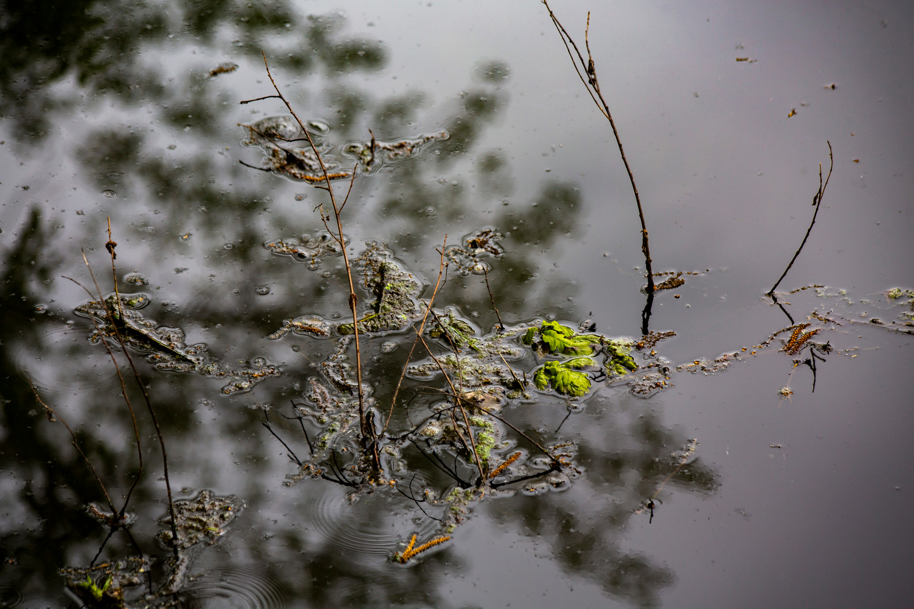Вода 