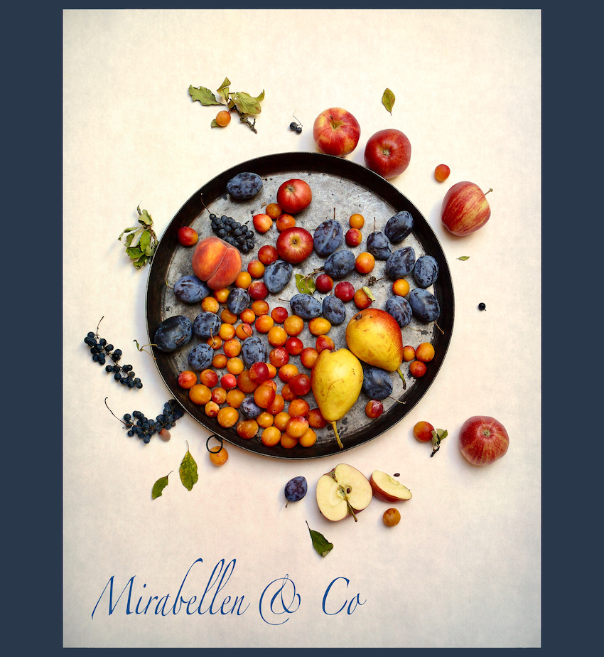Mirabellen & Co алыча желтые сливы виноград яблоки груши