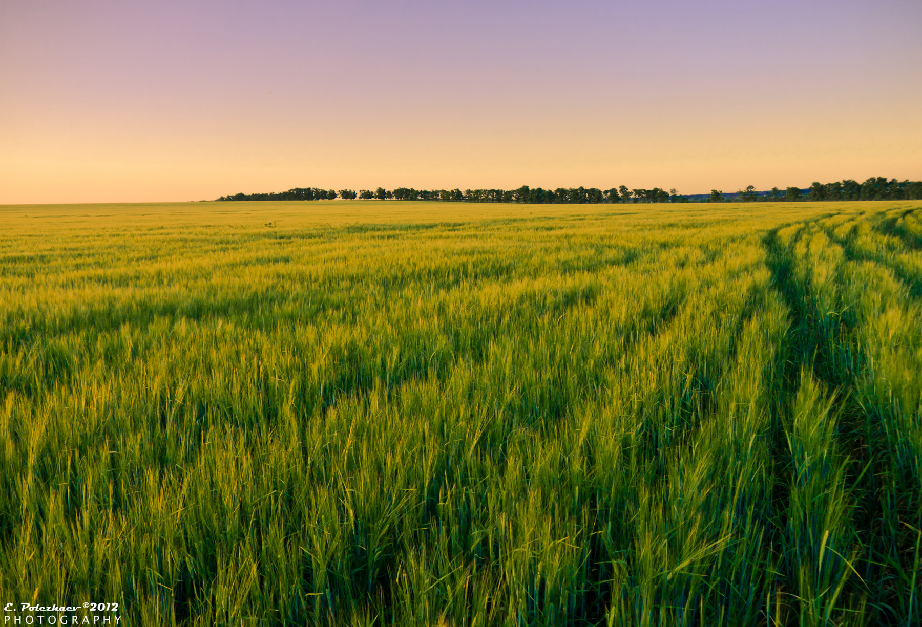Endless fields 