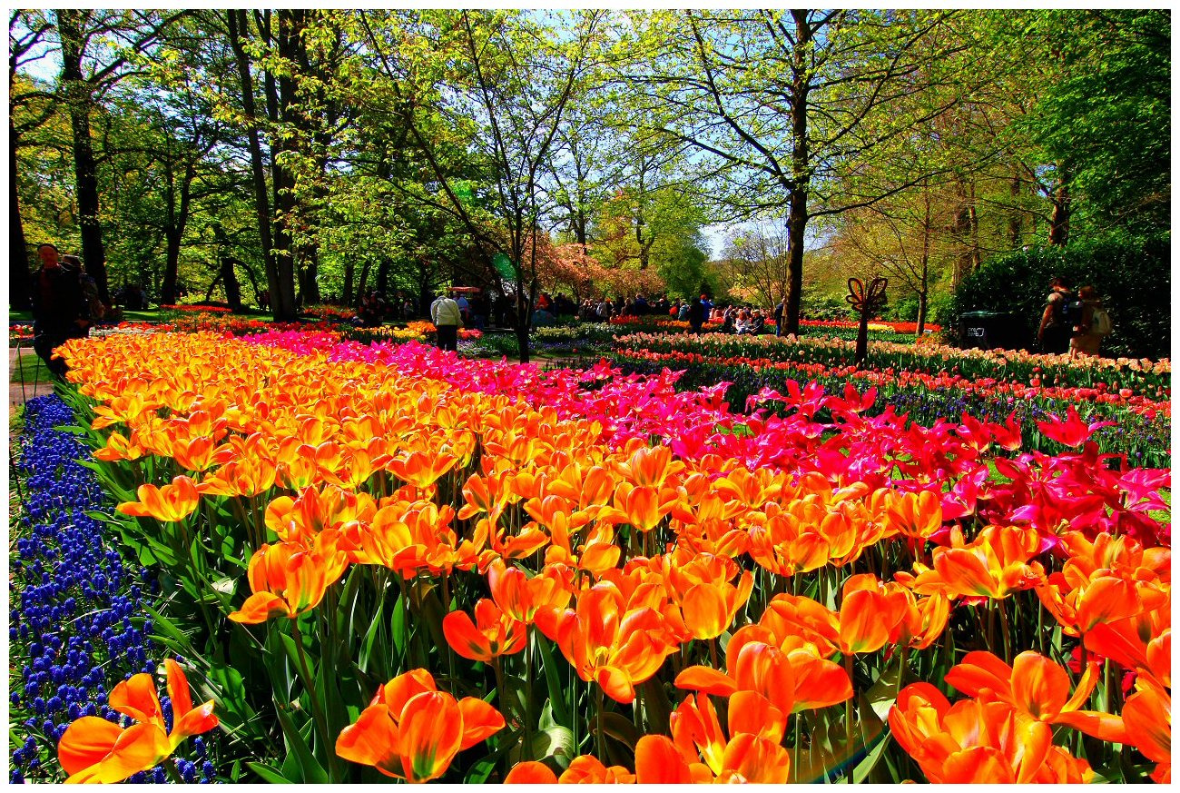 Keukenhof «кухонный двор» 