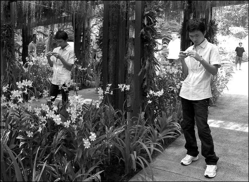 Sing Singapore