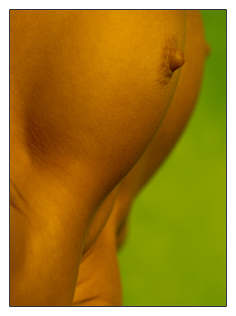 ::: BodyForms #4 (color id) ::: Body Forms