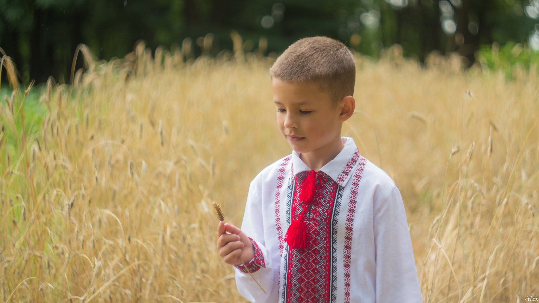 Козацькому роду нема переводу! 