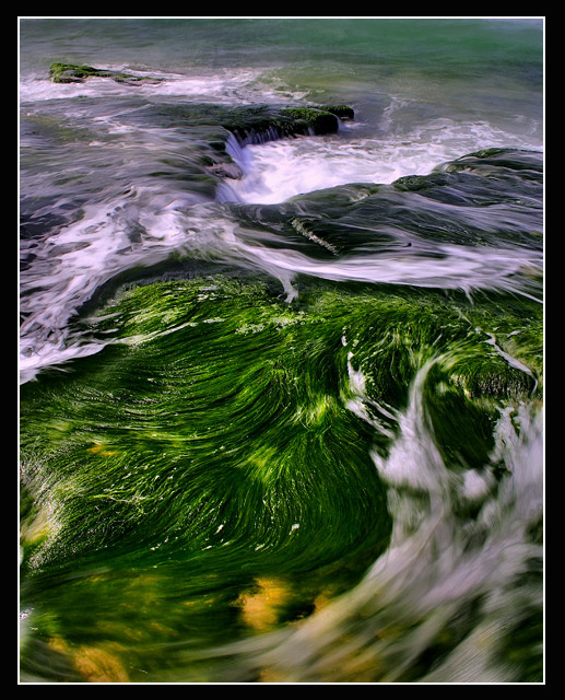 Motions... ***