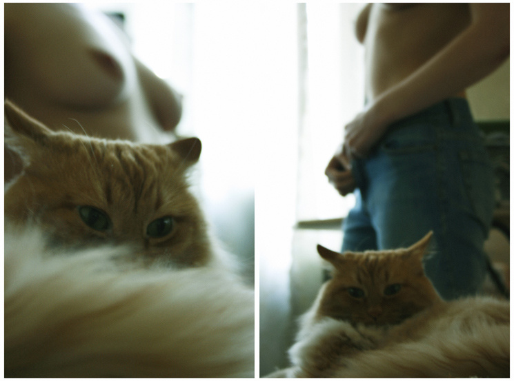 ` кот