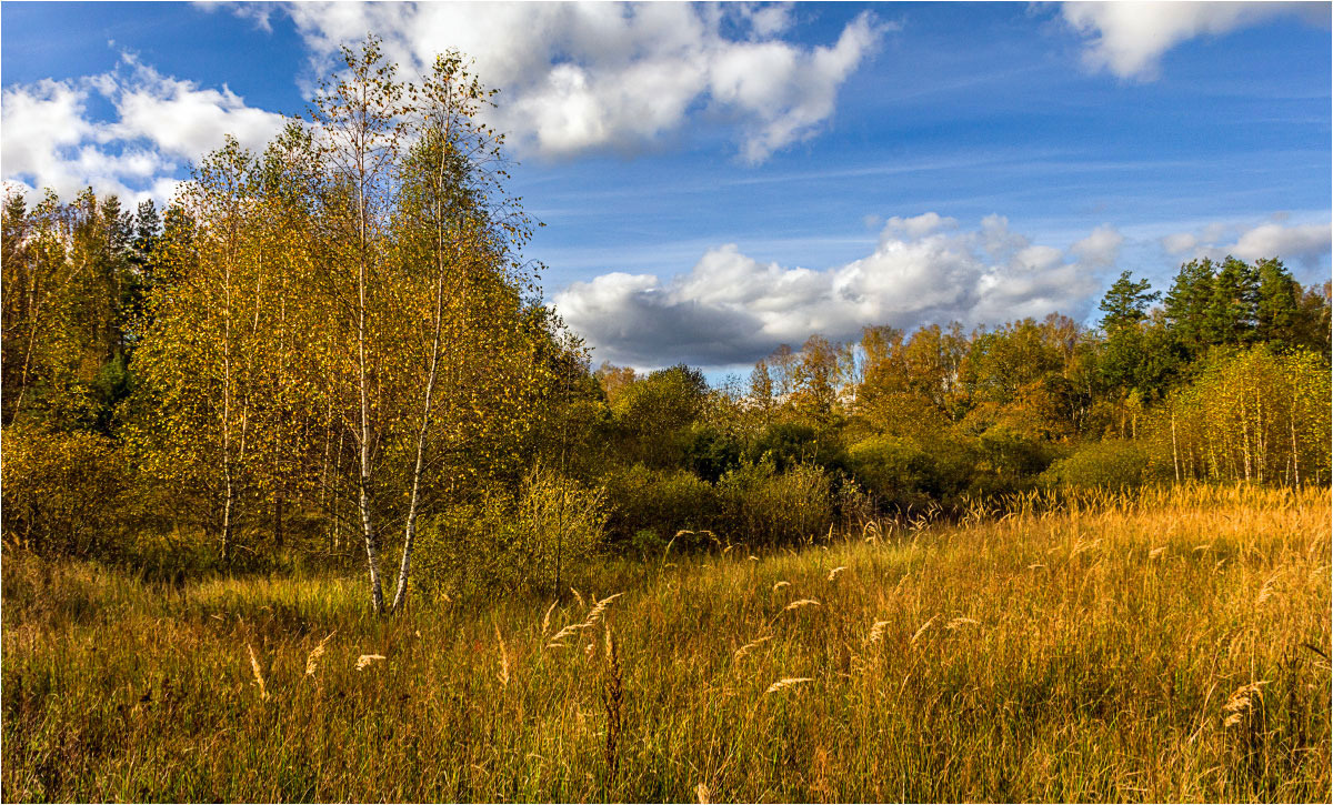 Осень золотая 