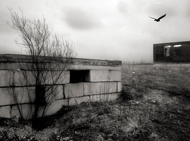 house where nobody lives lucky