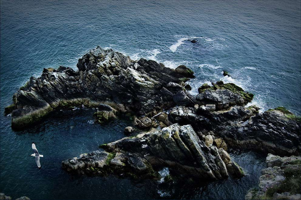 Спящий Дракон Howth