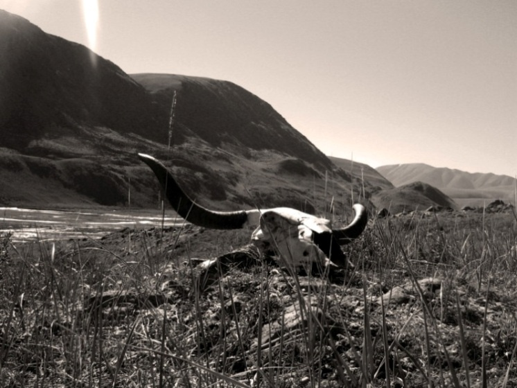 Августовская жара череп як жара