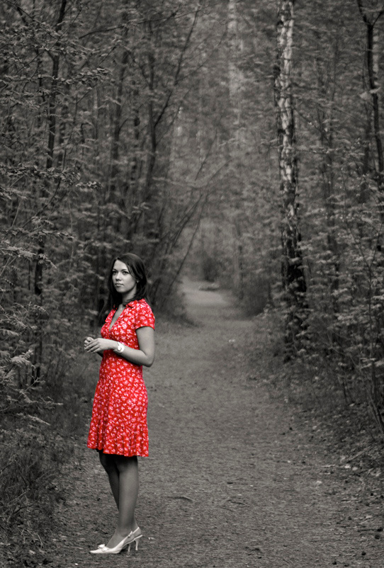 La rose dans le bois... rose red dress forest