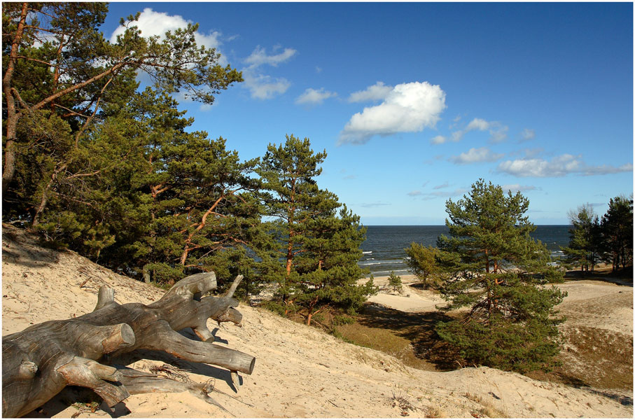 Дорогой к морю 