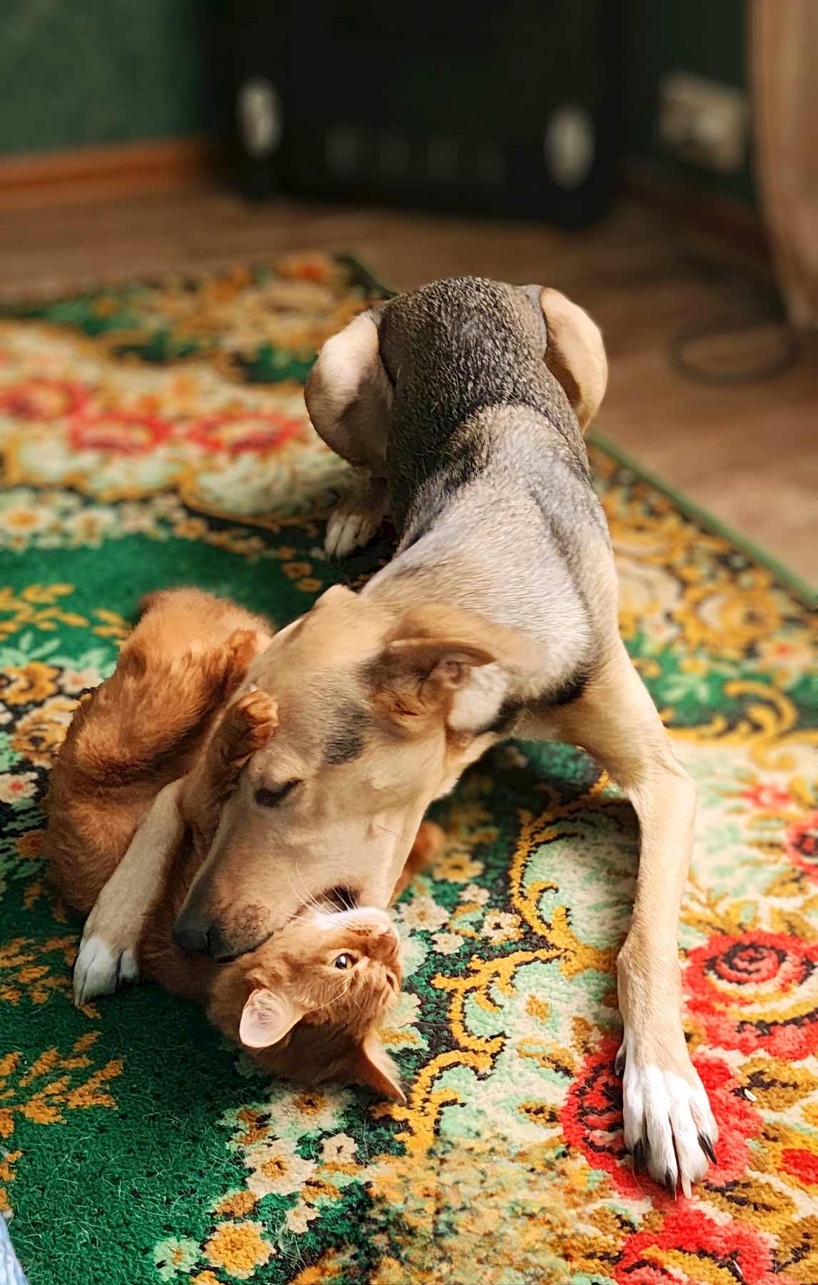 Девчонки играют 