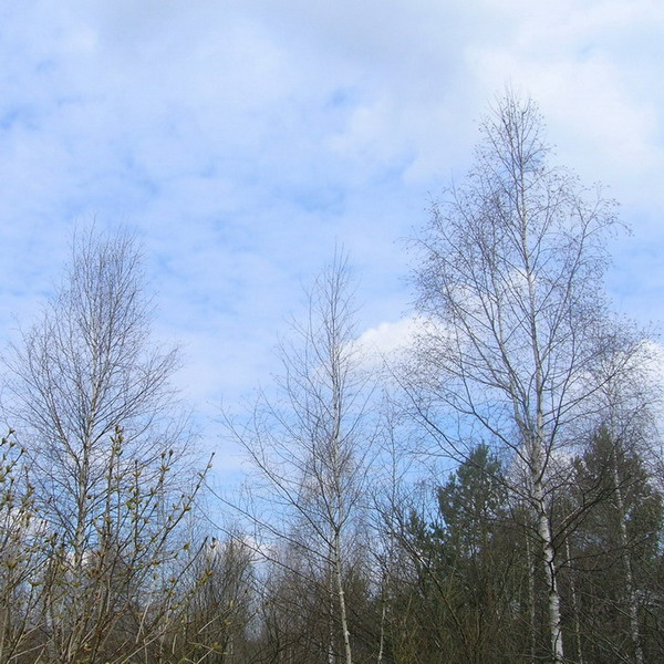 Апрель 