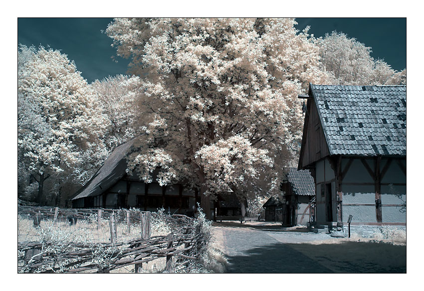 Дом в тени старого дерева / Infrared озеро река девушка горы hoya ir72