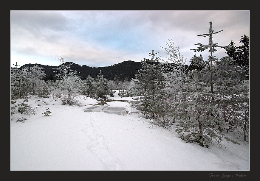 Winter 
