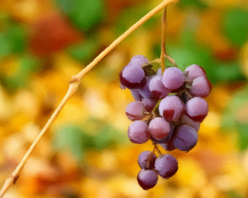 Картинка. 
