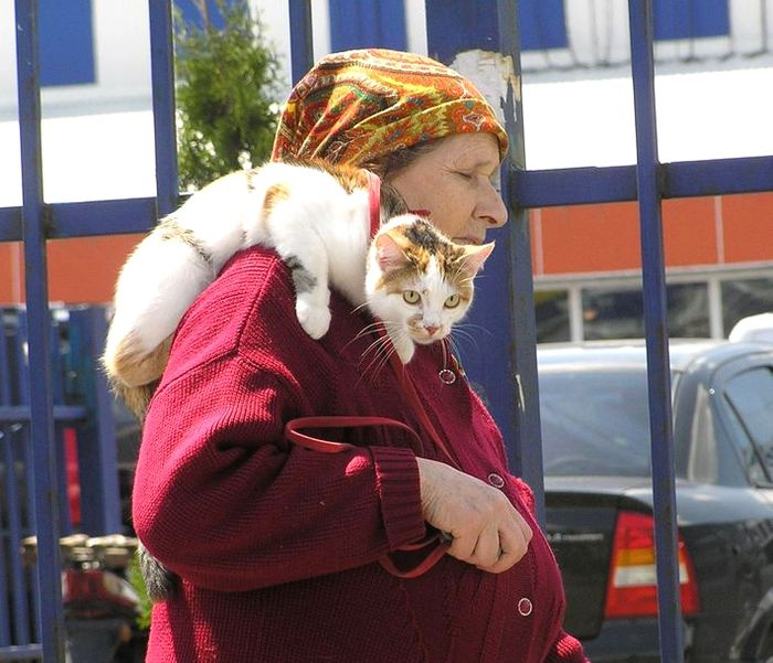Пассажир Ехать на чужом горбу
