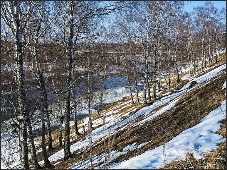 Еще одна весна весна река березы