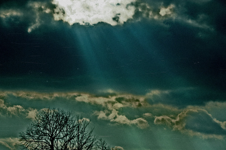 silent spring 