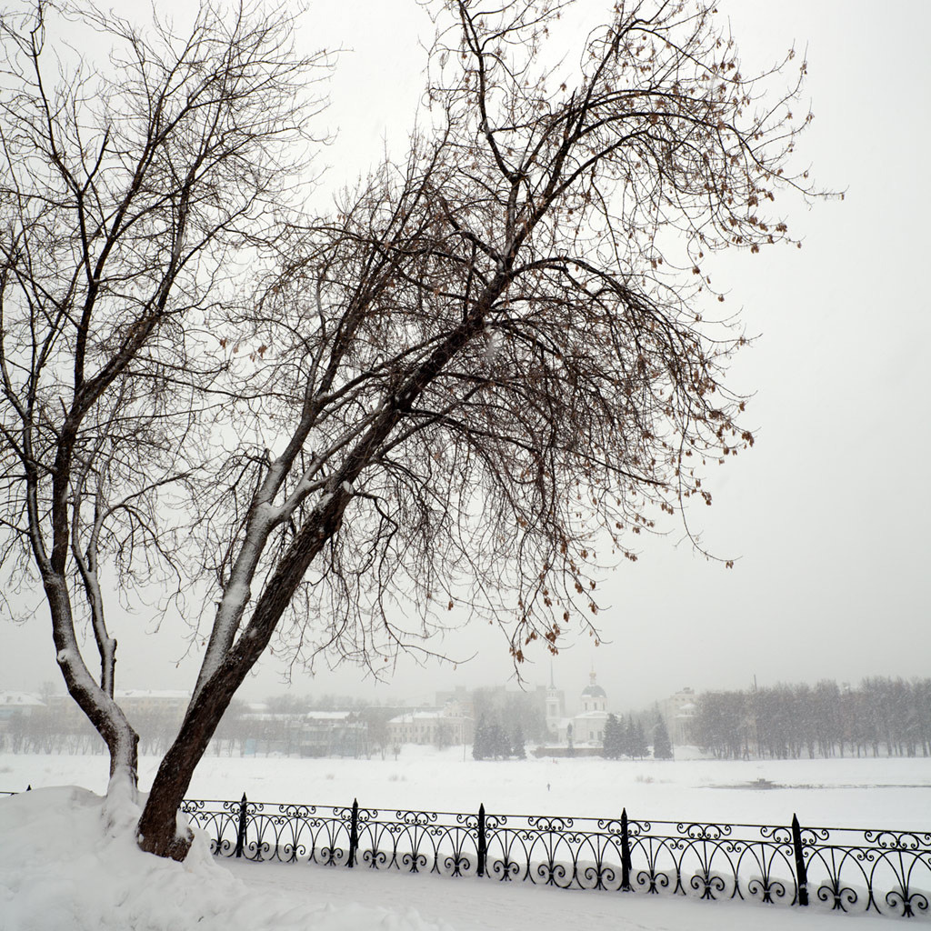 snow in the city 