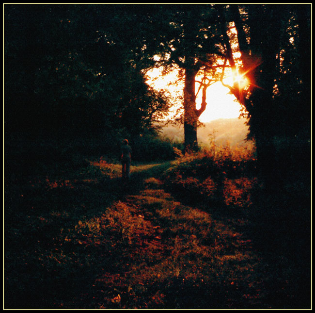 Late summer evening 