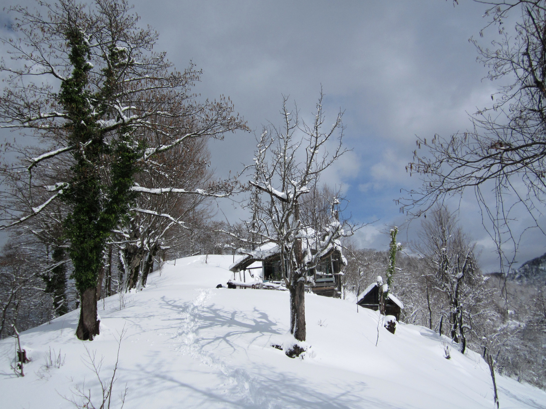 erketi Erketi Guria Travel Georgia Грузия Гурия Природа