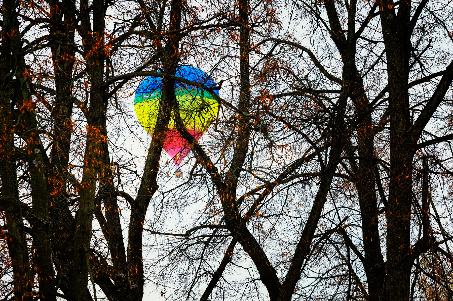 Autumn... Balloons flew away... 
