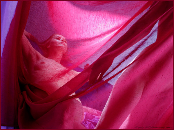 Le vin la mademoiselle de la Rose. Ef