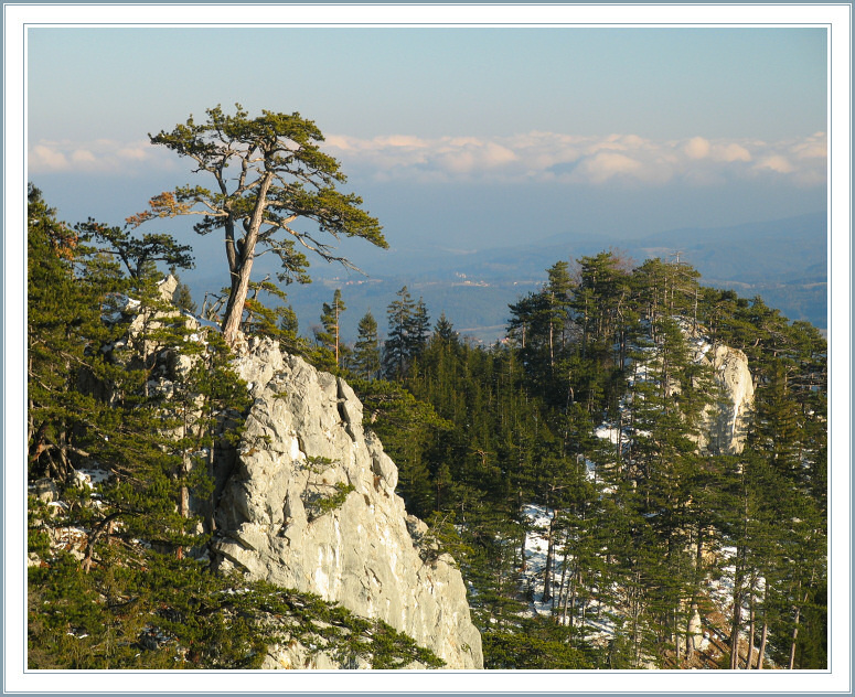 Гордое одиночество 
