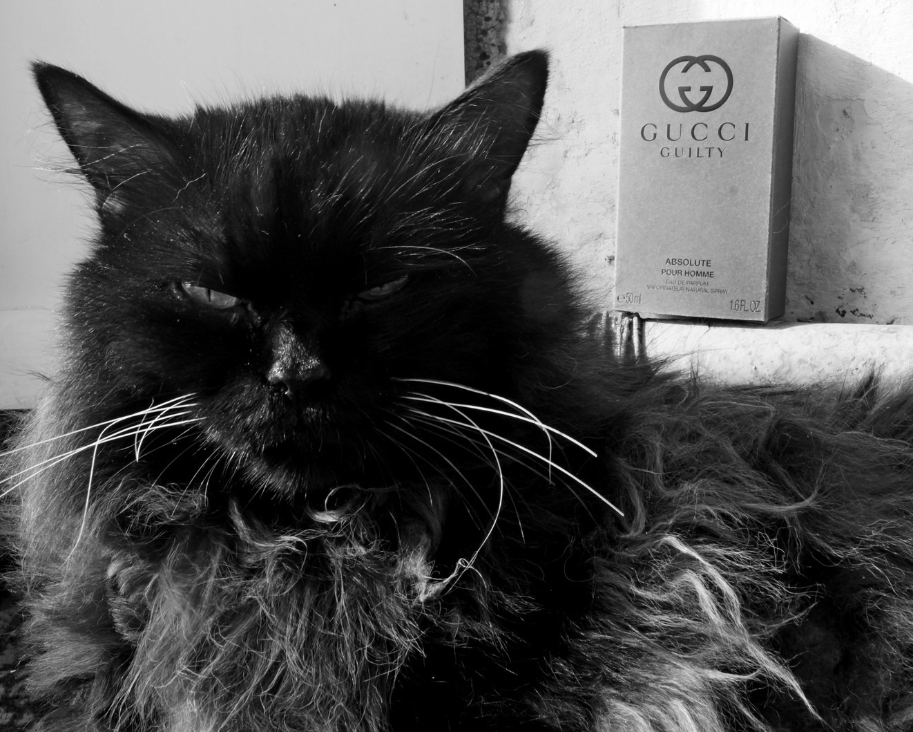 Guilty. Absolute pour homme Gucci Divàs рarfum eau de toilette