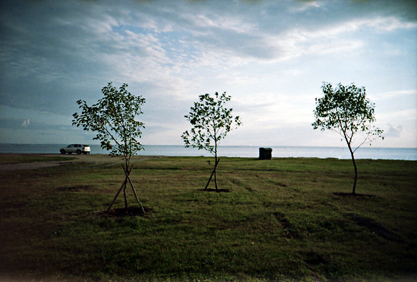*** lomo lca ломография ломо море пейзаж деревья