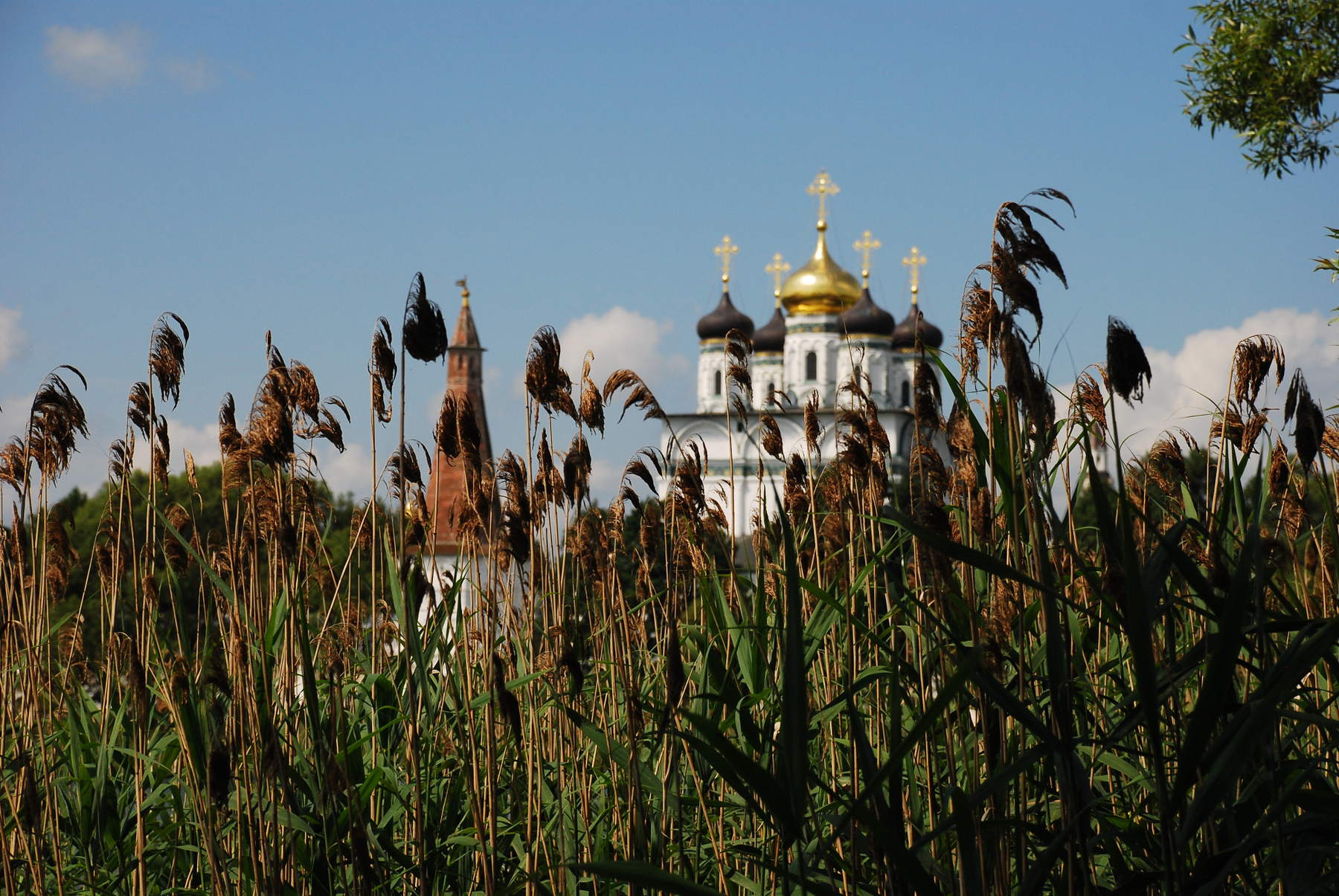 Купола 