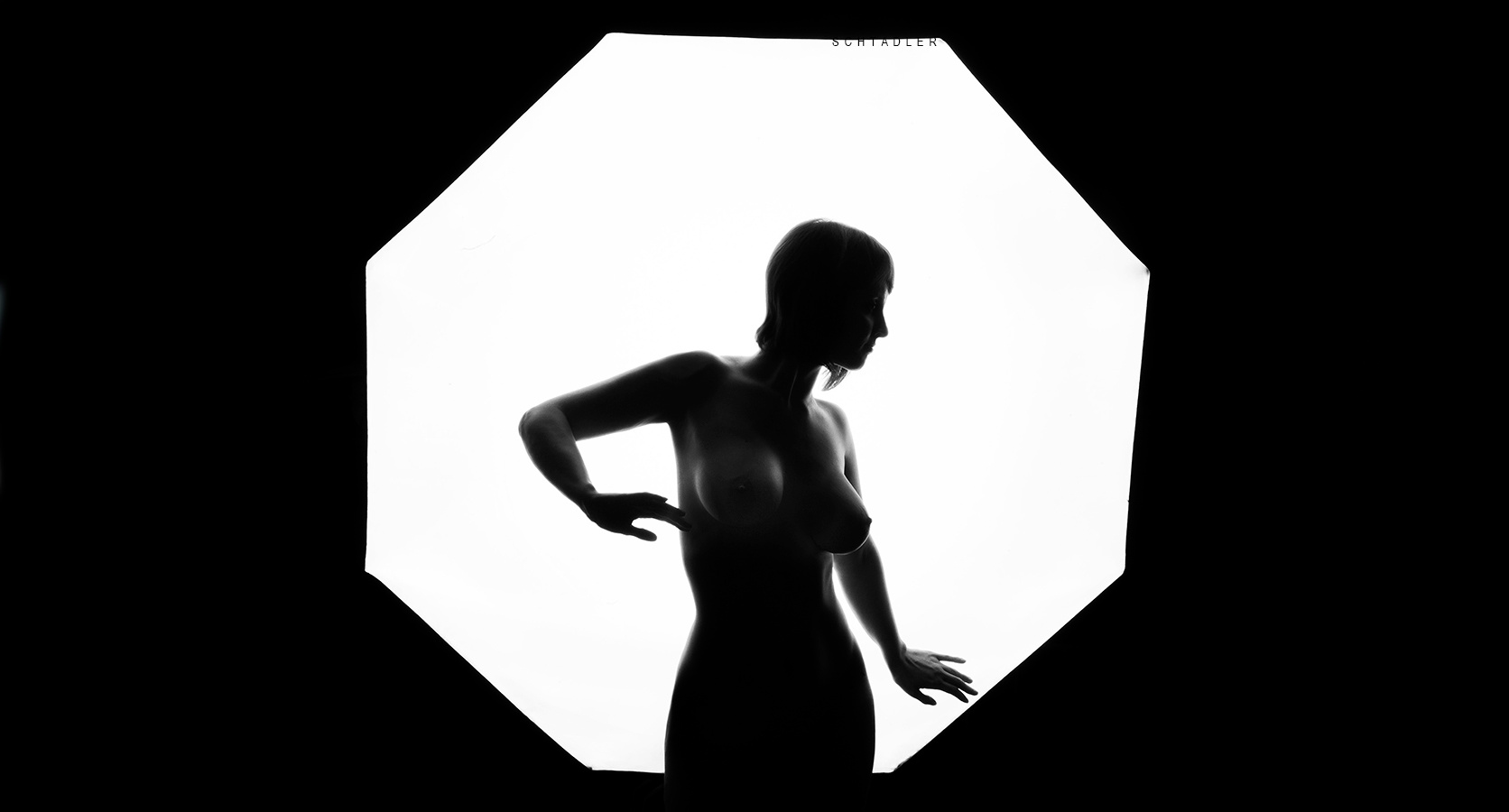 ⦾ 