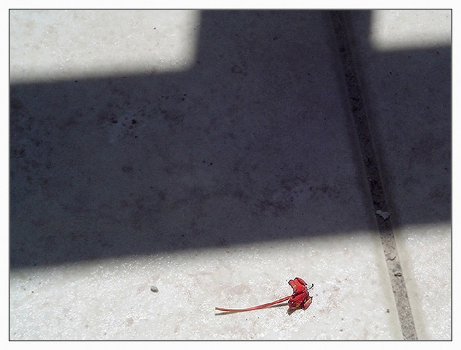 CrossRoad smth.