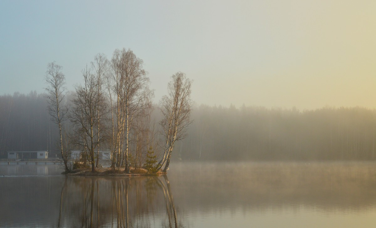 Утром туманным 
